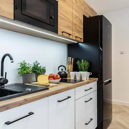 Appartement Tatrytop Alpejski Kościelisko